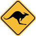 Kangaroo Logo