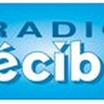 Radio Décibel Logo