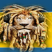 Lions - Radio Logo