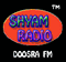 Shyam Radio Logo