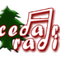 Cedars Radio Logo