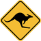 Kangaroo Logo