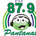 FM Pantanal 87.9 Logo