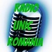 Radio Unic Romania Logo