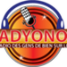 RADYONOU Logo