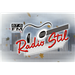 Radio Stil 87.6 Logo