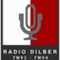 Radio Dilber FM 94 Logo