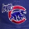 Iowa Cubs Baseball Network Logo