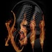 Radio X511 Logo