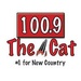 100.9 The Cat - WKLI-FM Logo