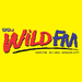 99.1 Wild FM - DXRT Logo