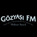 Konya Gözyaşı FM Logo