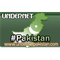 Undernet Pakistan Radio Logo