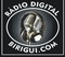 Rádio Web Digital Birigui 89.0 Logo