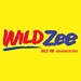 94.3 Wild Zee - DXWZ Logo