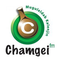 Royal Media Services - Chamgei FM Logo