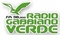 Radio Gabbiano Verde Logo