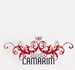 Radio Camarim Logo