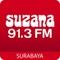 Suzana 91.3 FM Logo