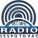 Puls 91.1 FM - Radio Despotovac Logo