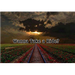 Art Bell Always Logo