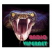 Radio Vipernet - Pascani Blues Logo