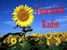 Tournesol Radio Logo