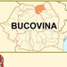 Radio Bucovina Logo