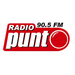 Radio Punto Logo