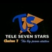 Radio Tele Seven Stars Logo