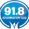 Istanbulun Sesi 91.8 Logo