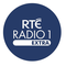 RTÉ Radio 1 Extra Logo