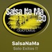 SalsaNaMa Logo