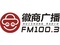 合肥徽商广播 Logo