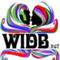 WIDB.NET The Remedy Logo