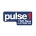 Pulse 1 Logo