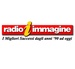 Radio Immagine Logo