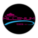 Station Millenium 102.5 Logo