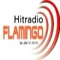 Hit Radio-Flamingo Logo