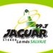 Radio Jaguar Stereo 99.7 Logo