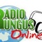 Radio Rungus Online Logo