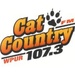 Cat Country 107.3 - WPUR Logo