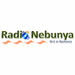 Radio Nebunya Logo