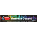 Radio Sintonia Gospel FM Logo