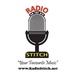 Radio Stitch Logo