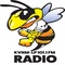 KVNM 101.1 FM - KVNM-LP Logo