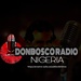 Don Bosco Radio Nigeria Logo