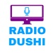 RadioDushi Logo