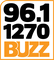 96.1 & 1270 AM The Buzz - KBZZ Logo