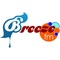 Breeze FM 91.2 Logo